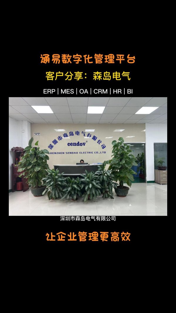 客户案例-森岛电气